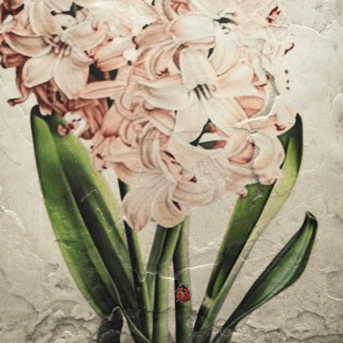 Hyacinth Memory Block Tile