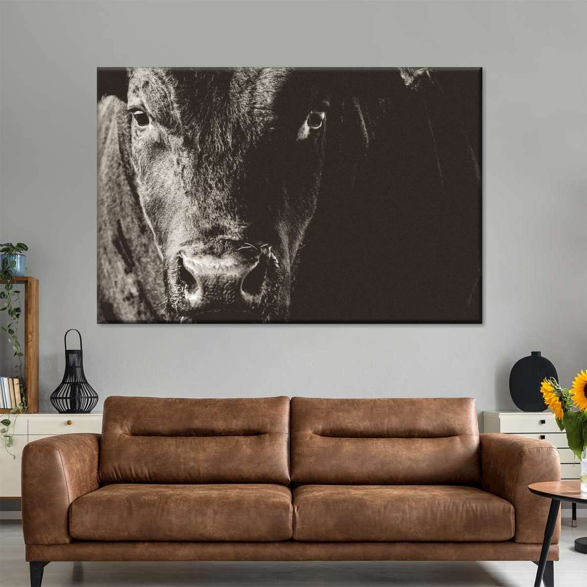 Black Angus Bull Wall Art