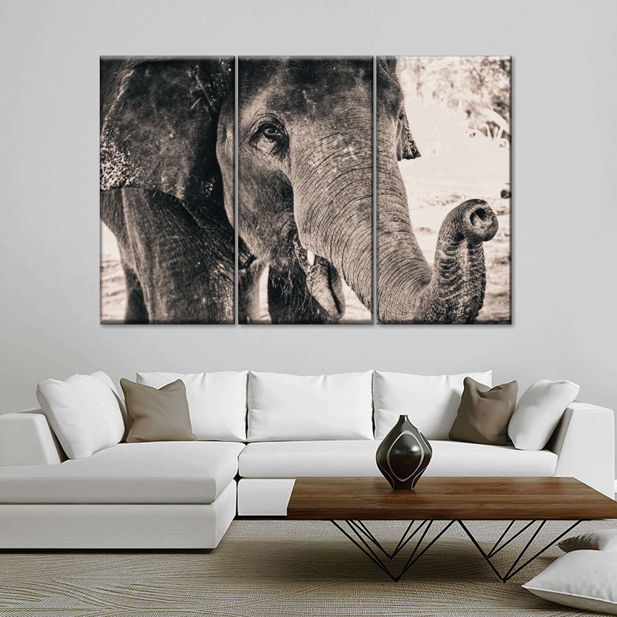 Elephant Up Close Wall Art