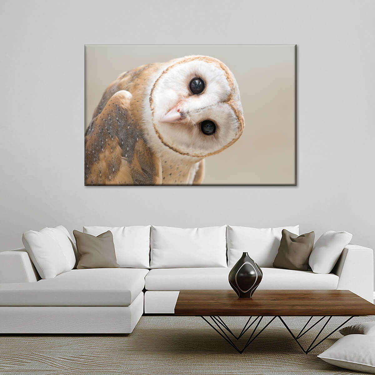 Barn Owl Gaze Wall Art