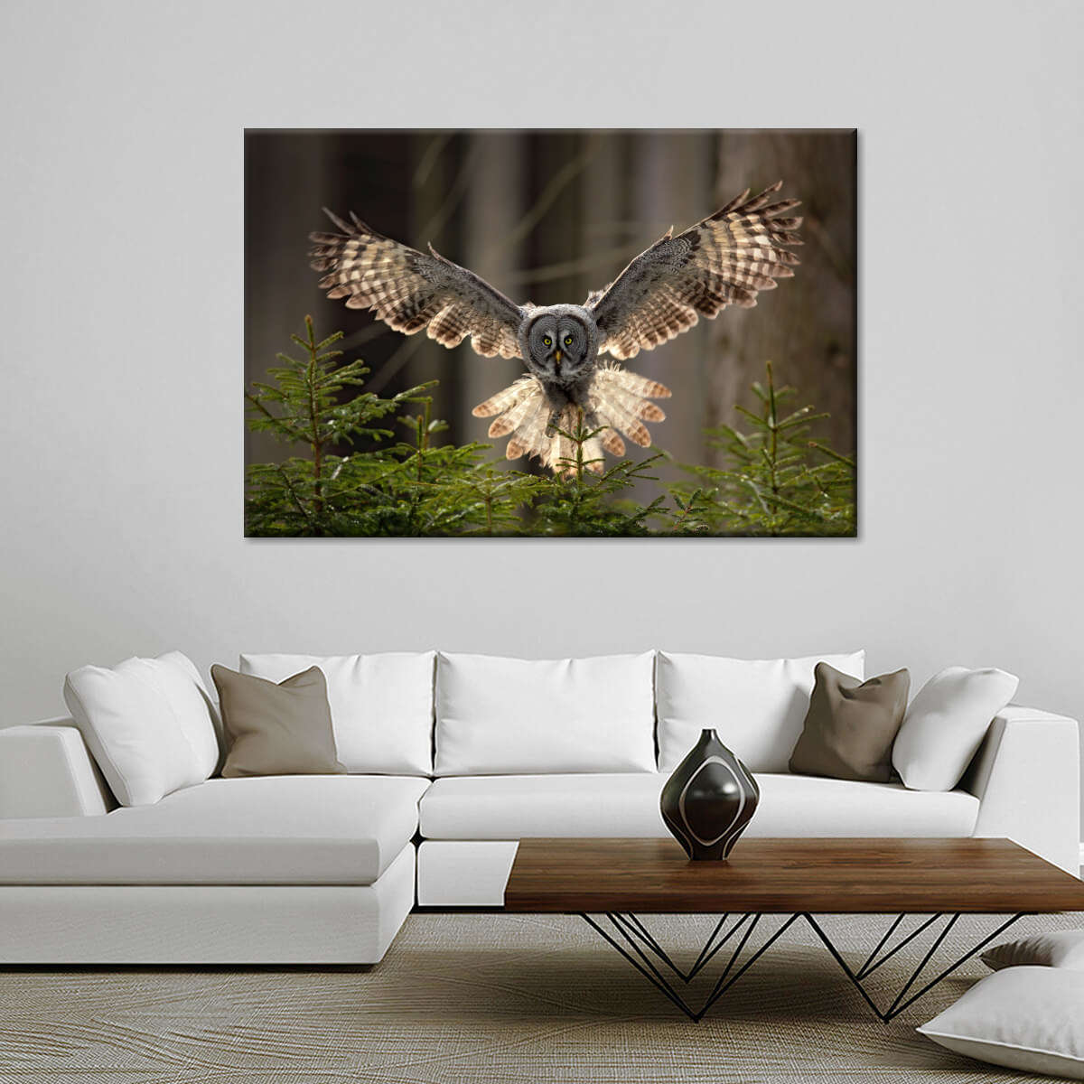 Flying Owl Wall Art