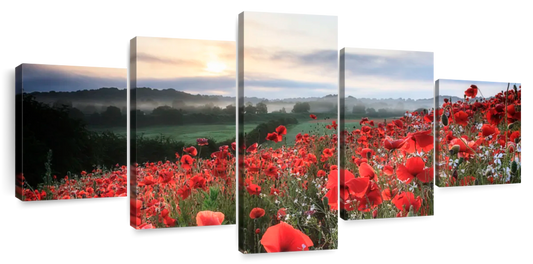 Field Of Red Poppies Wall Art