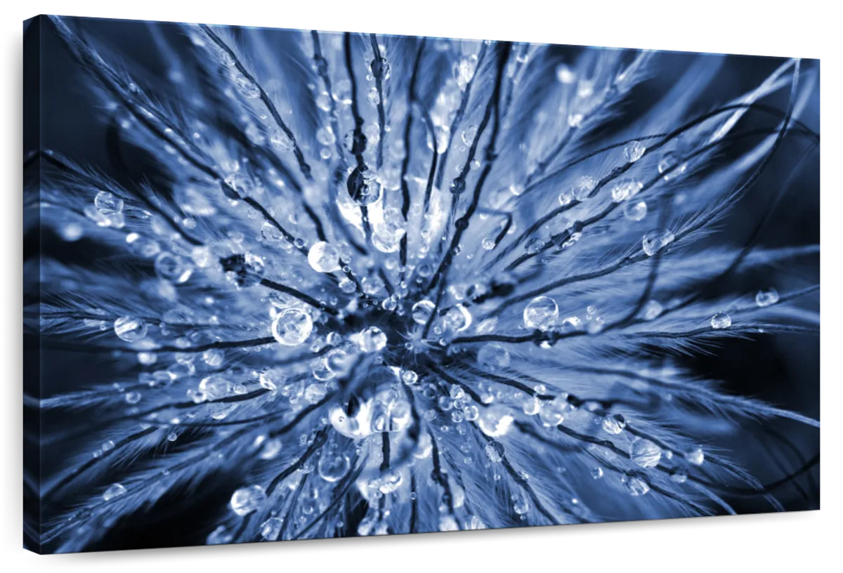 Abstract Flower Head Wall Art