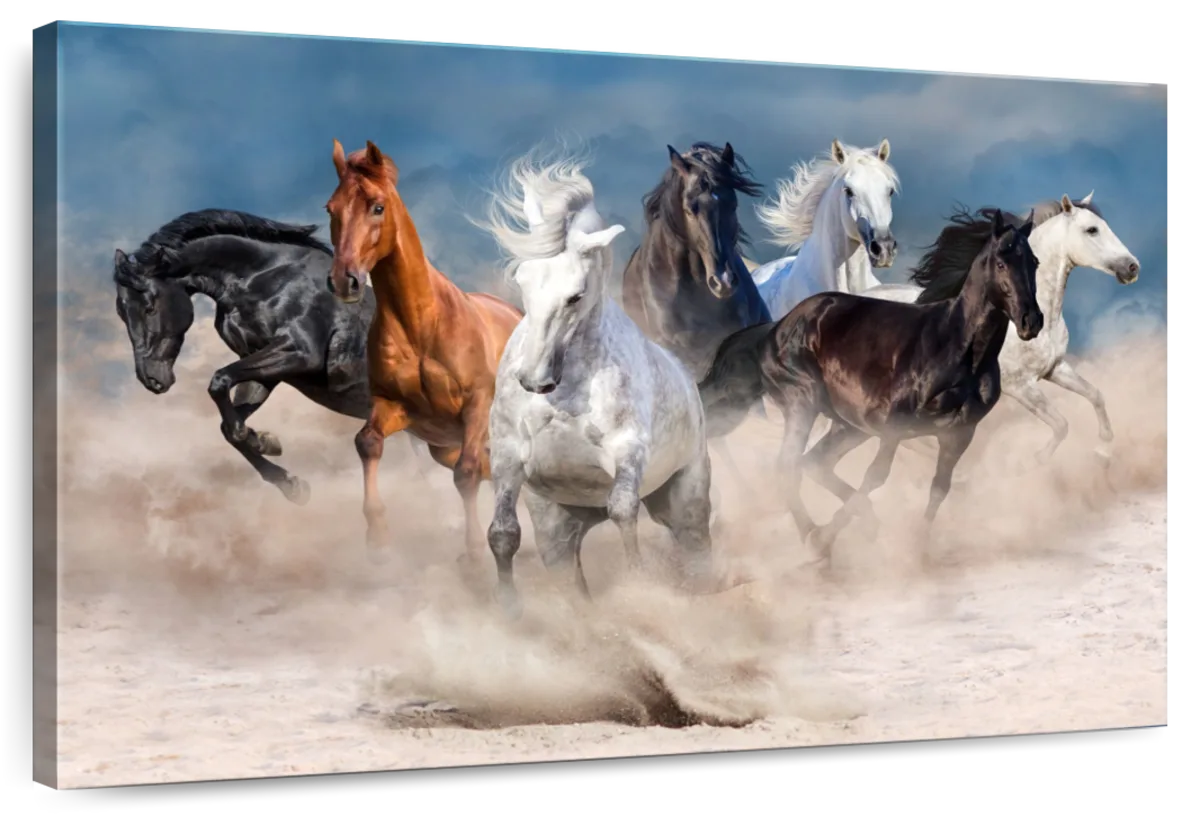 Running Horses Wall Art