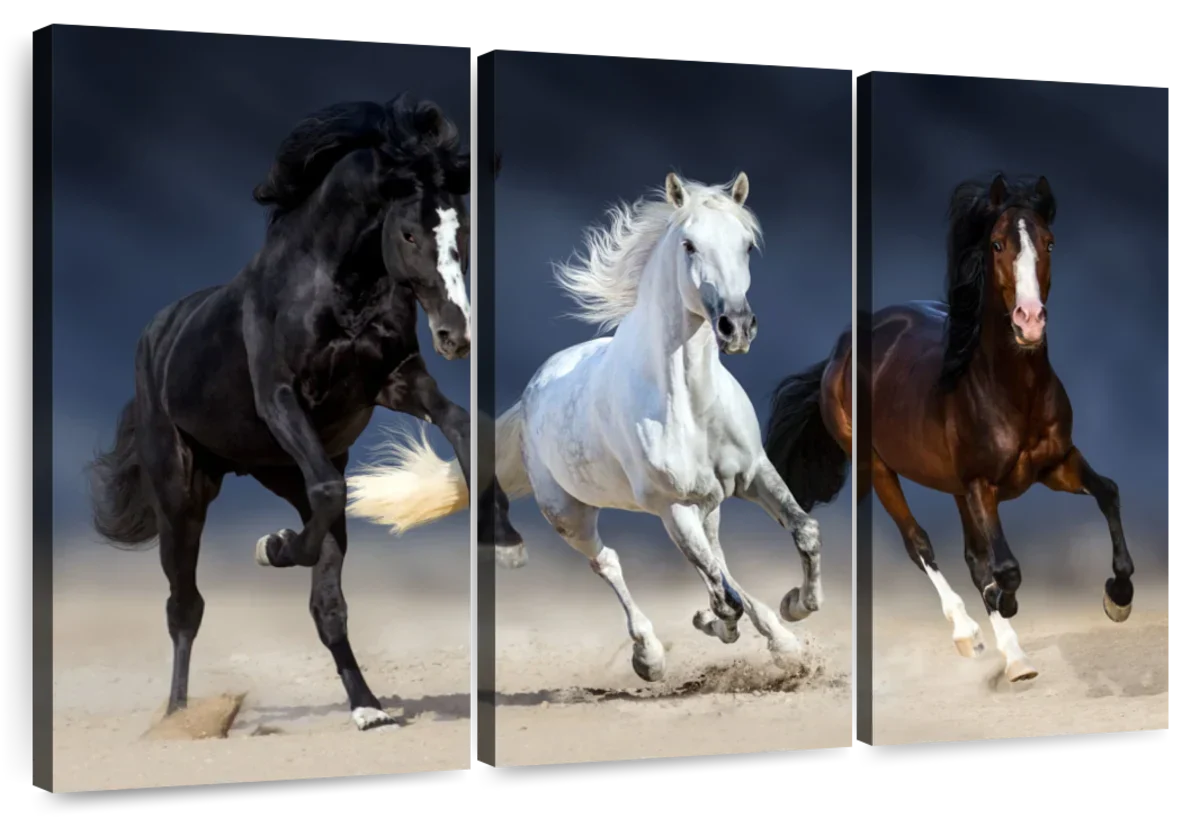 Wild Colorful Horses Wall Art