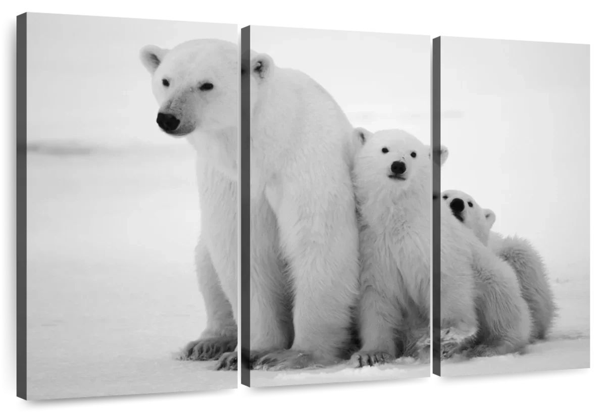 Polar Bear Family Wall Art