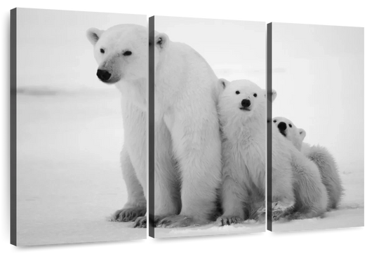 Polar Bear Family Wall Art