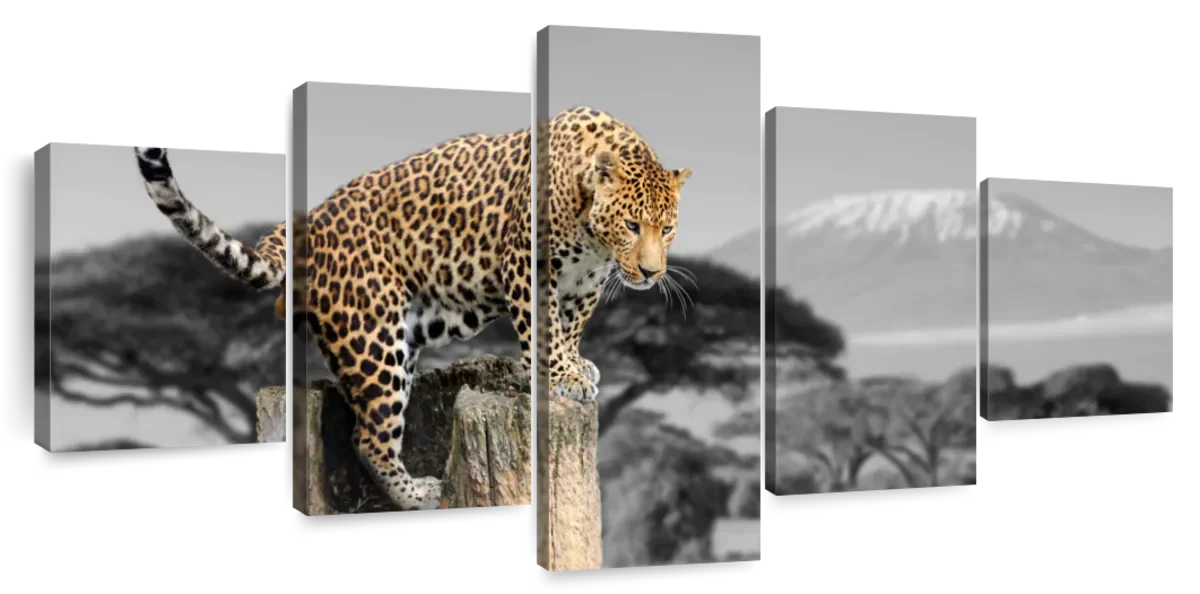 Pop African Leopard Wall Art