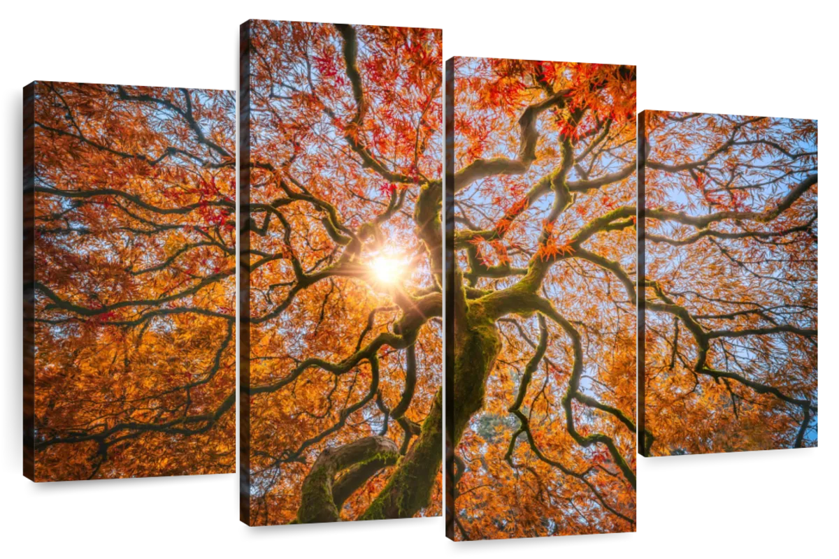 Japanese Maple Tree Wall Art