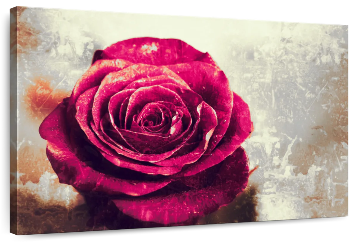 Textured Grunge Rose Wall Art