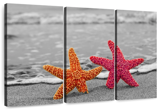 Nautical Starfish Duo Wall Art