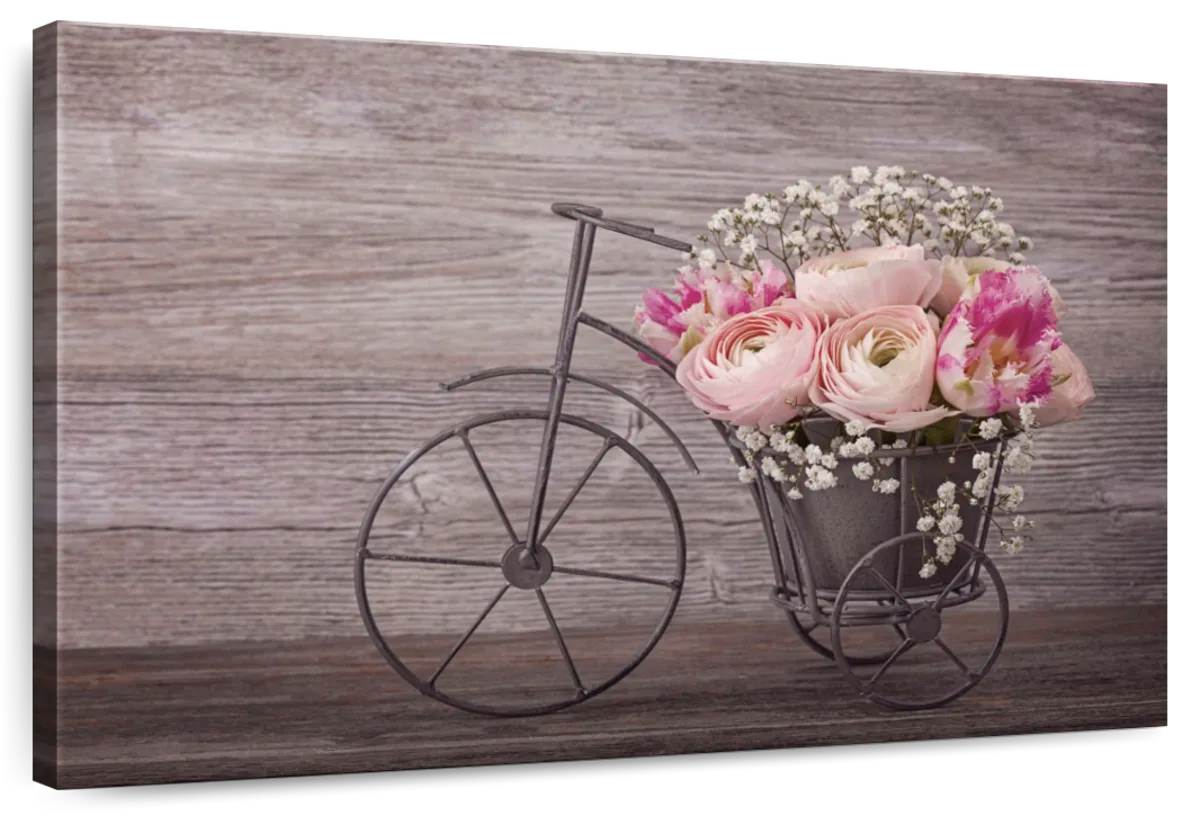 Ranunculus Bicycle Vase Wall Art