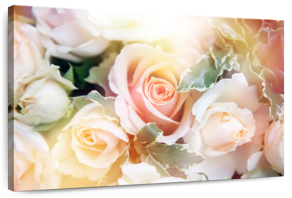 Roses In Bloom Wall Art