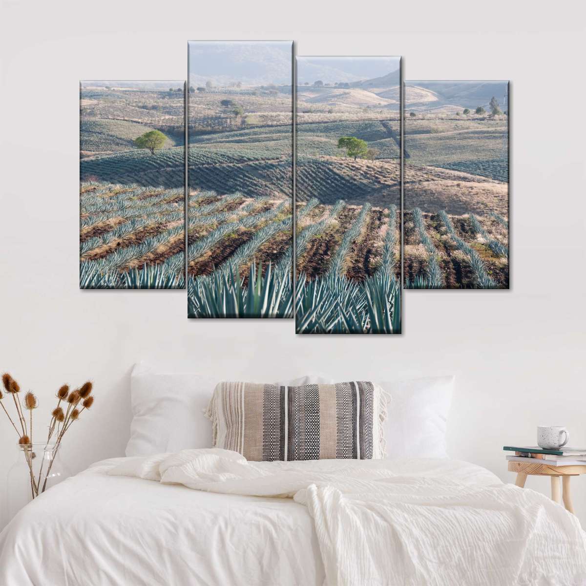 Tequila Jalisco Agave Field Wall Art