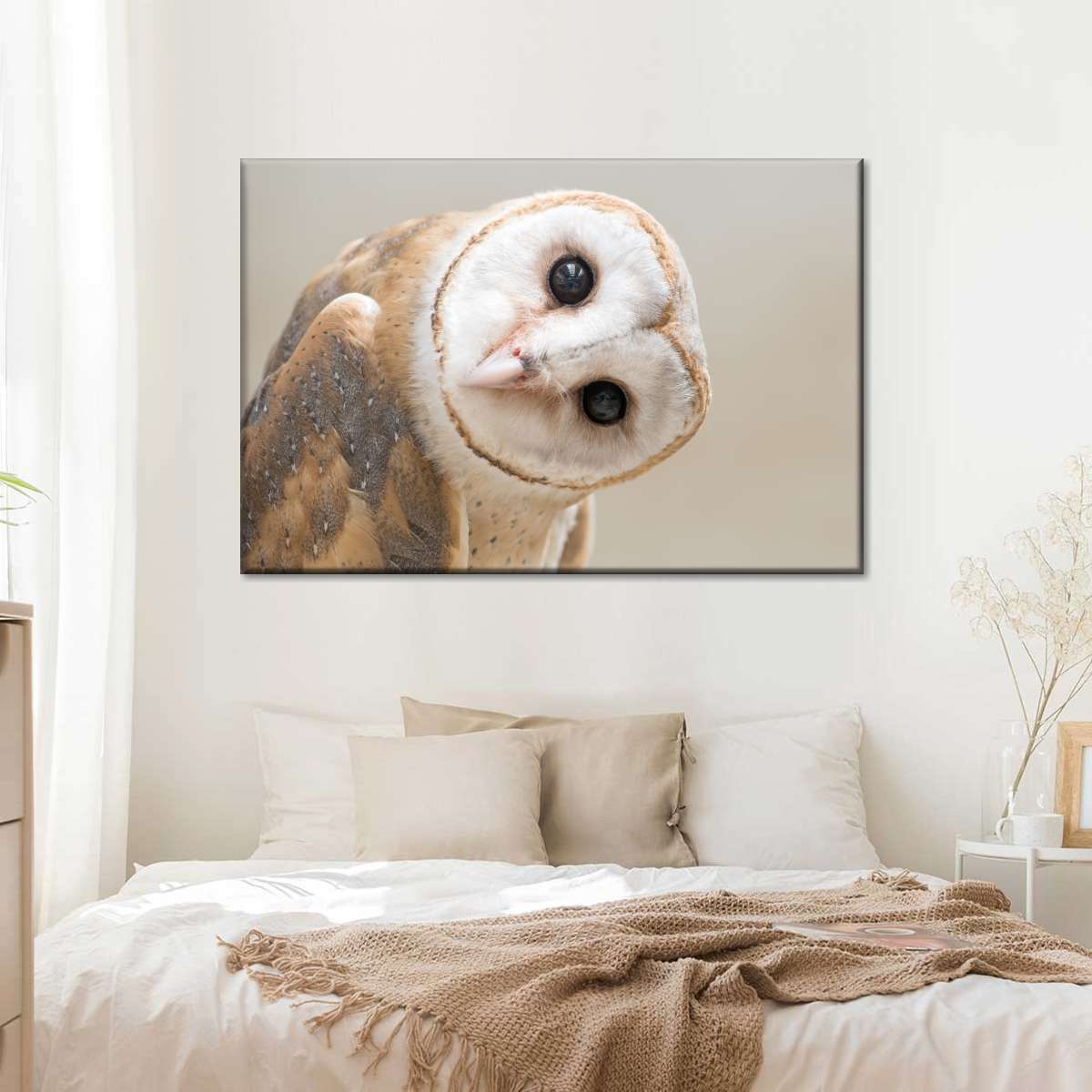 Barn Owl Gaze Wall Art