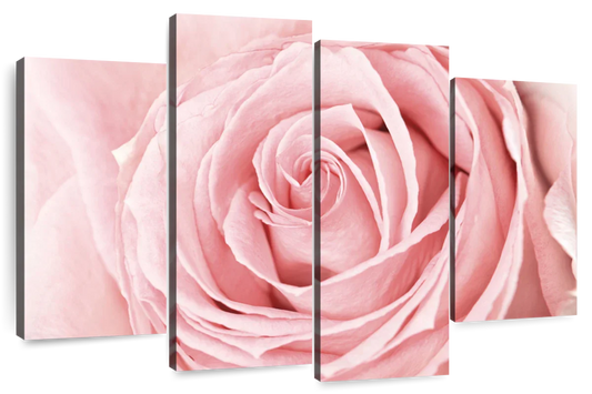 Fresh Pink Rose Wall Art