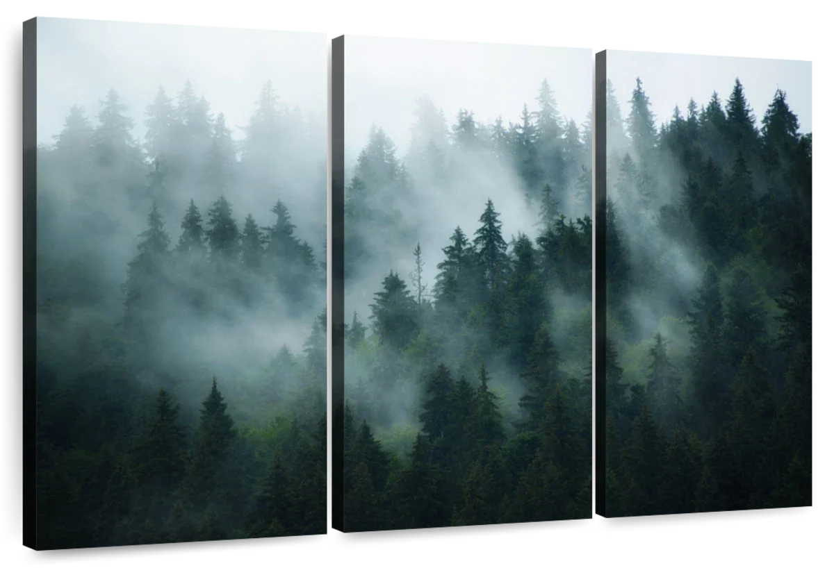 Misty Fir Forest Wall Art
