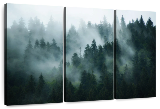 Misty Fir Forest Wall Art