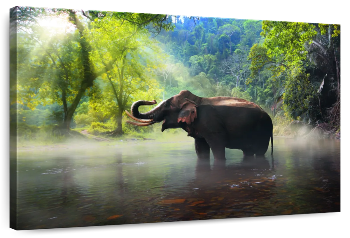 Wild Elephant Wall Art