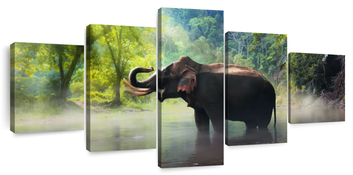 Wild Elephant Wall Art