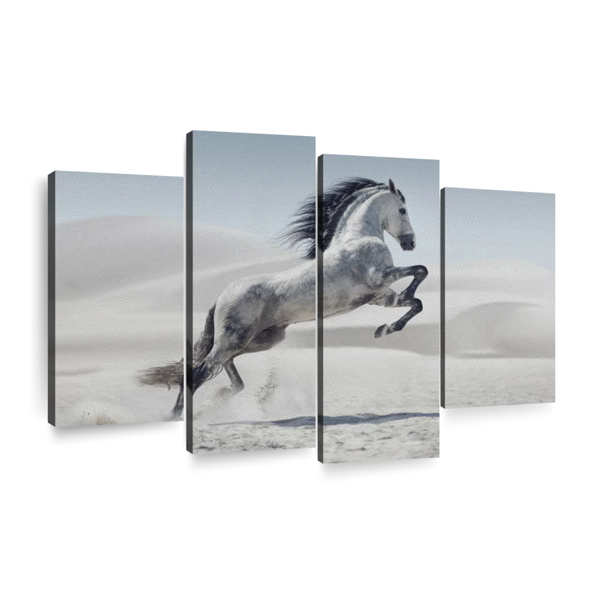 Mighty Arabian Horse Wall Art