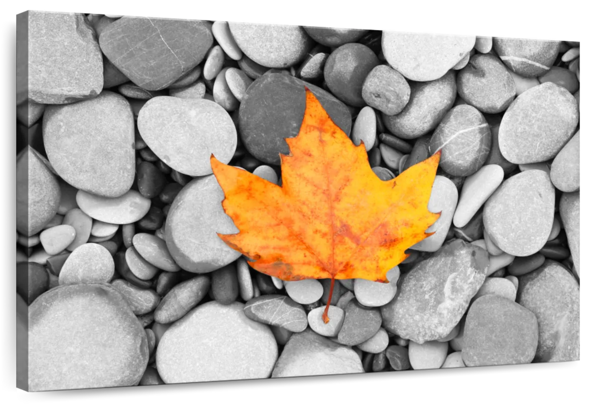 Autumn Leaf Wall Art