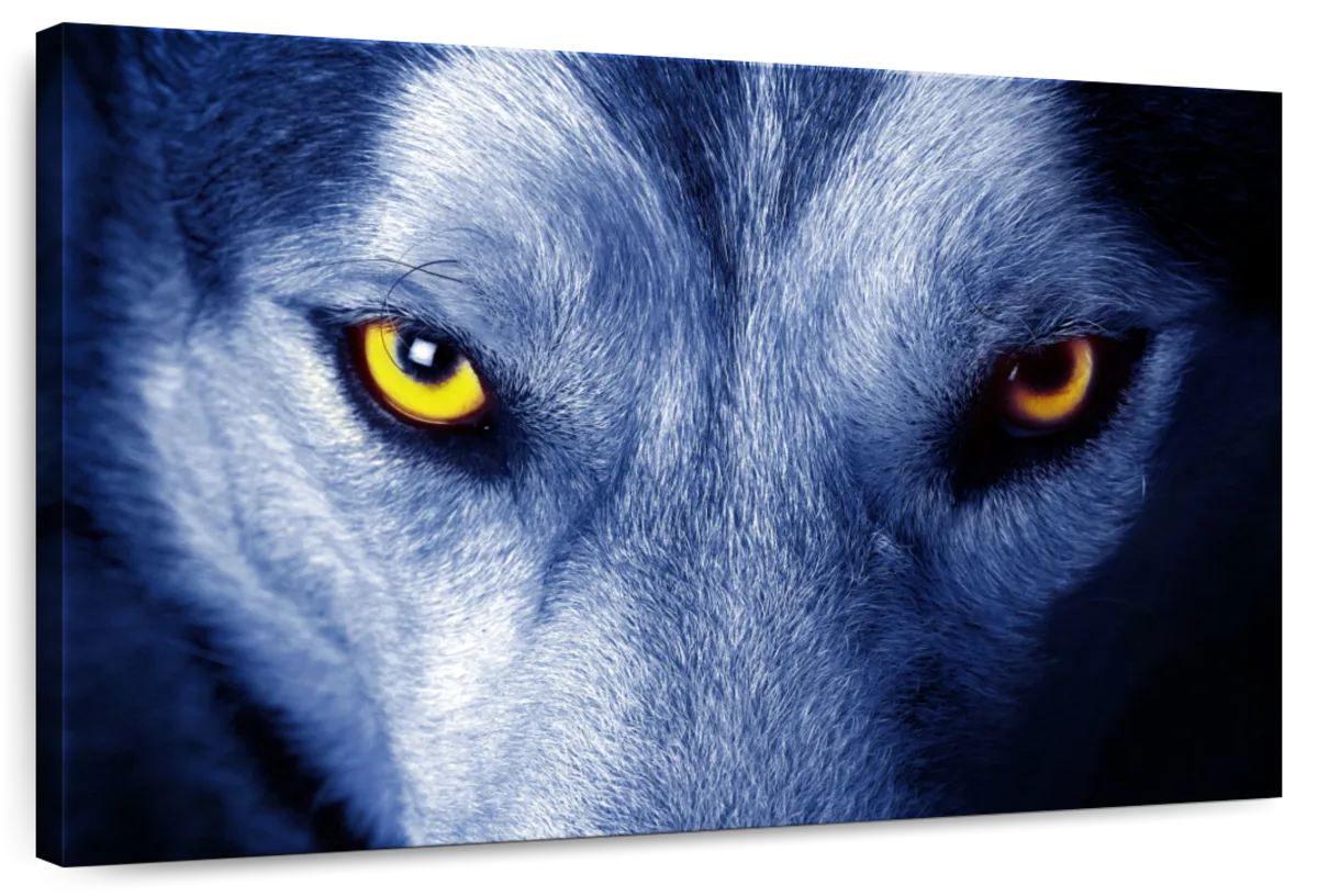 Mystic Wolf Eyes Wall Art