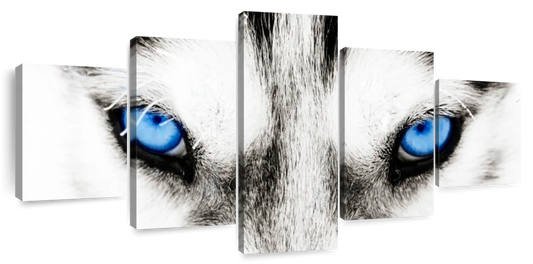 Husky's Eyes Wall Art