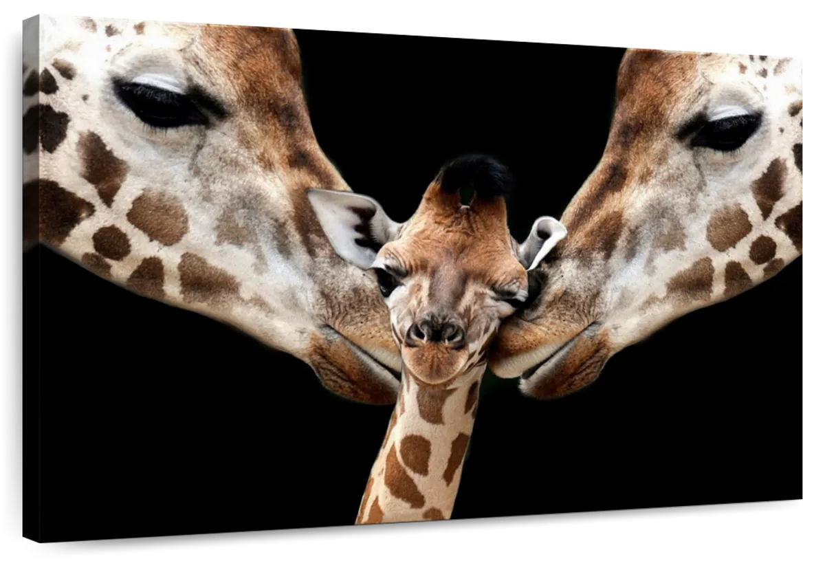 Happy Giraffe Family Wall Art