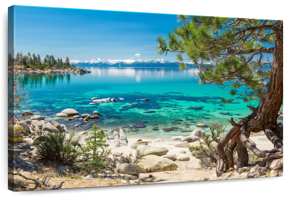Turquoise Lake Tahoe Wall Art