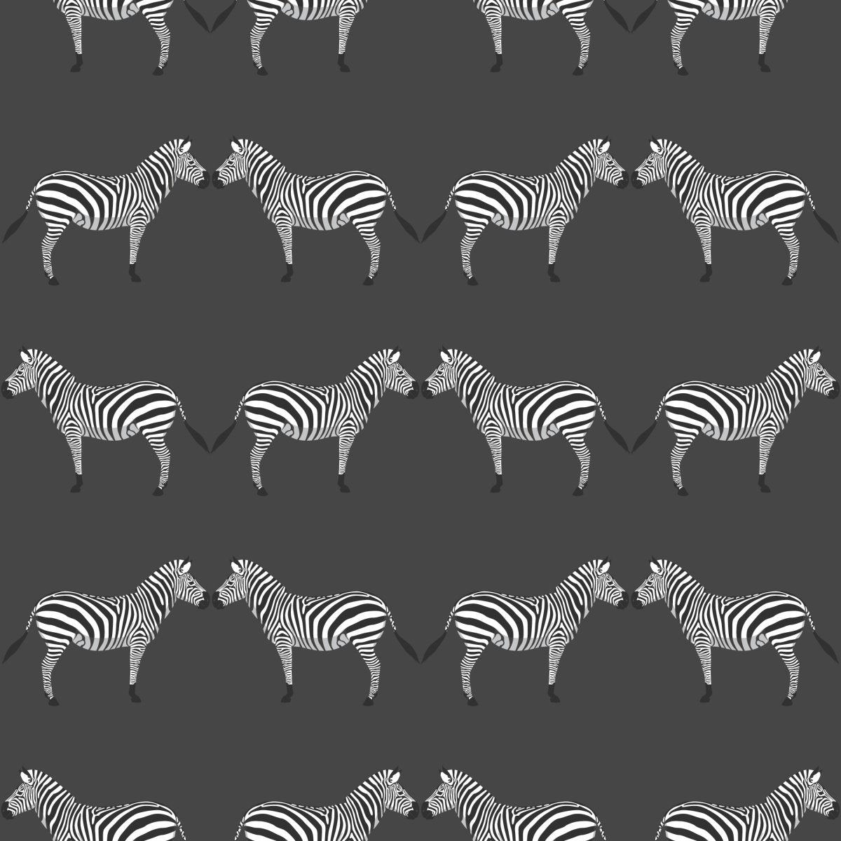 Zebras Charcoal Wallpaper