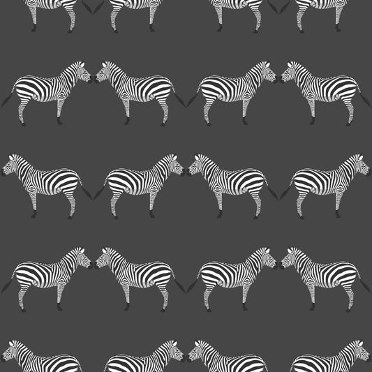 Zebras Charcoal Wallpaper