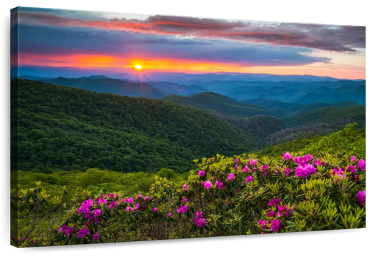 Blue Ridge Flowers Wall Art