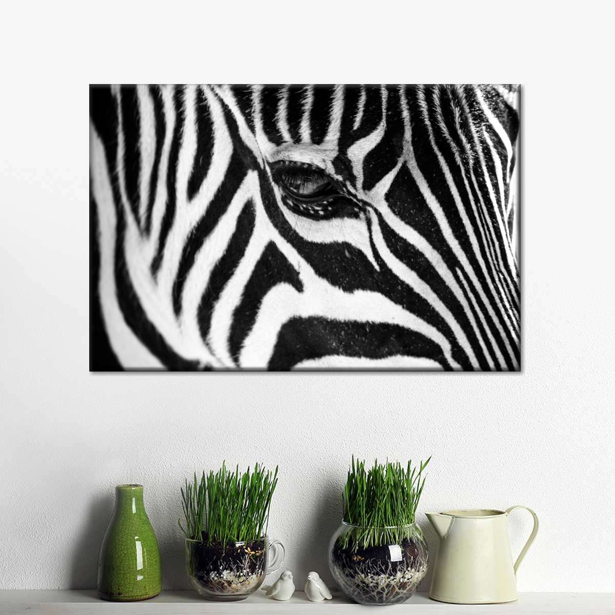 Zebra Eye Wall Art