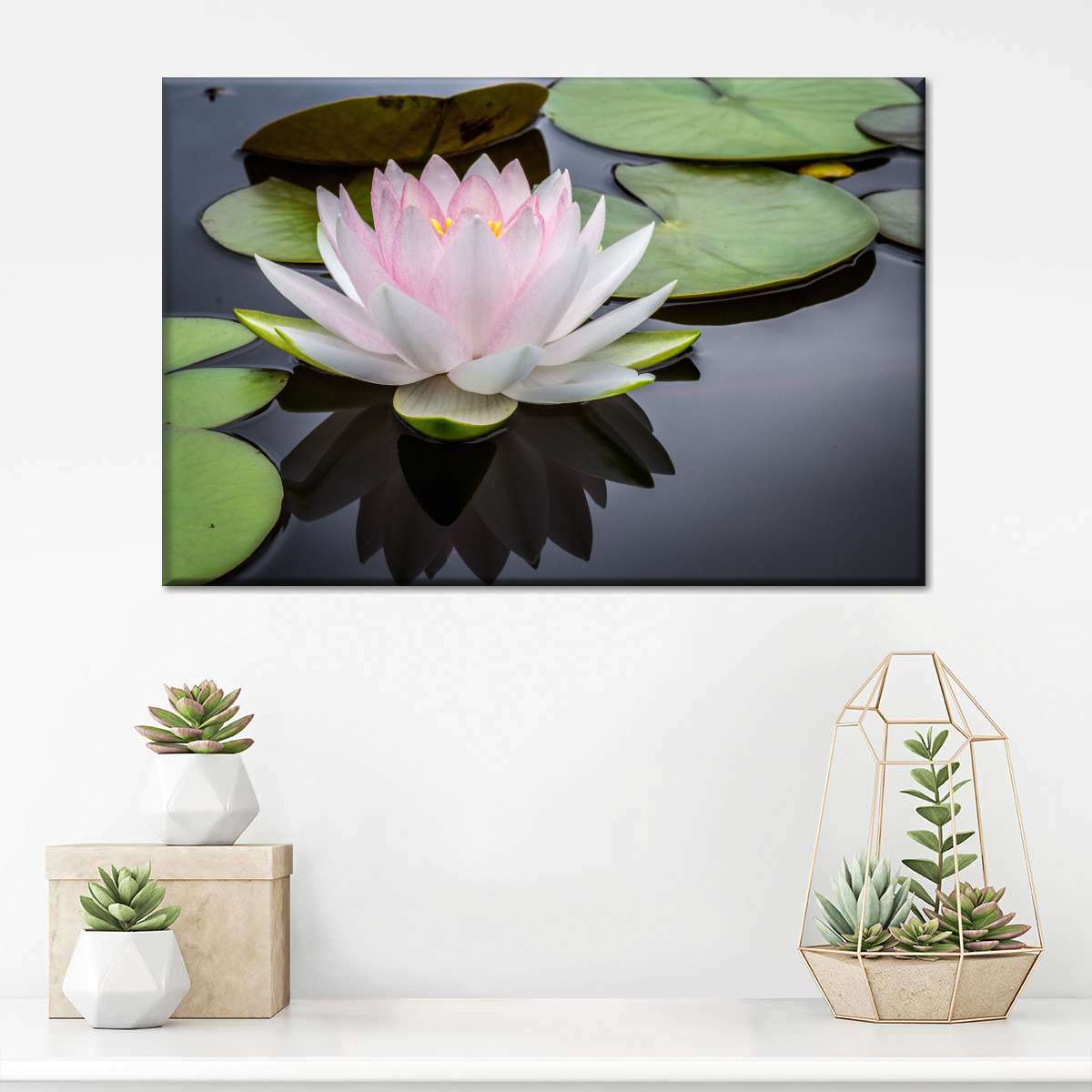 Pinkish White Lotus Wall Art