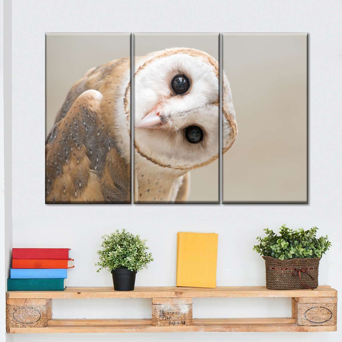 Barn Owl Gaze Wall Art