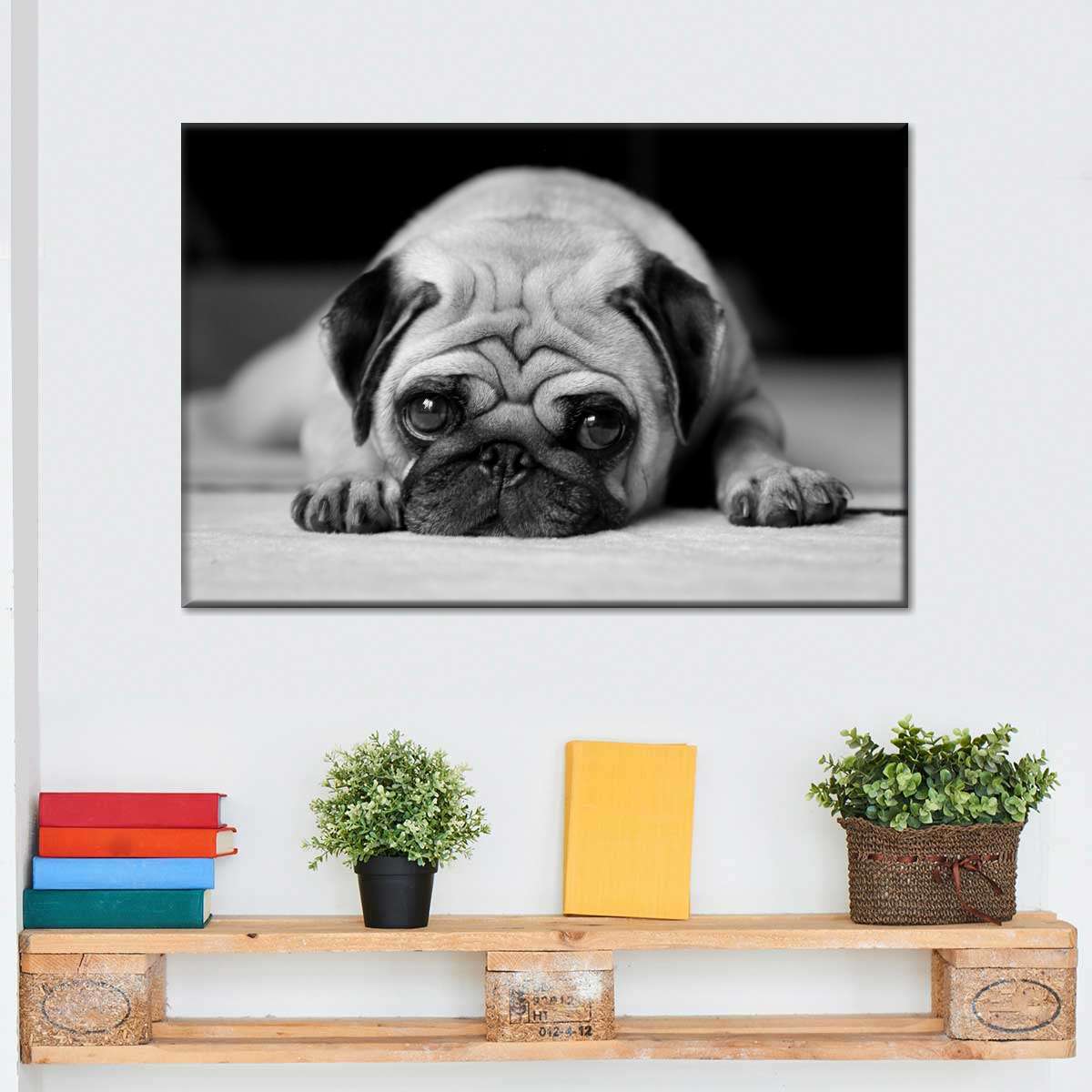 Sad Pug Wall Art