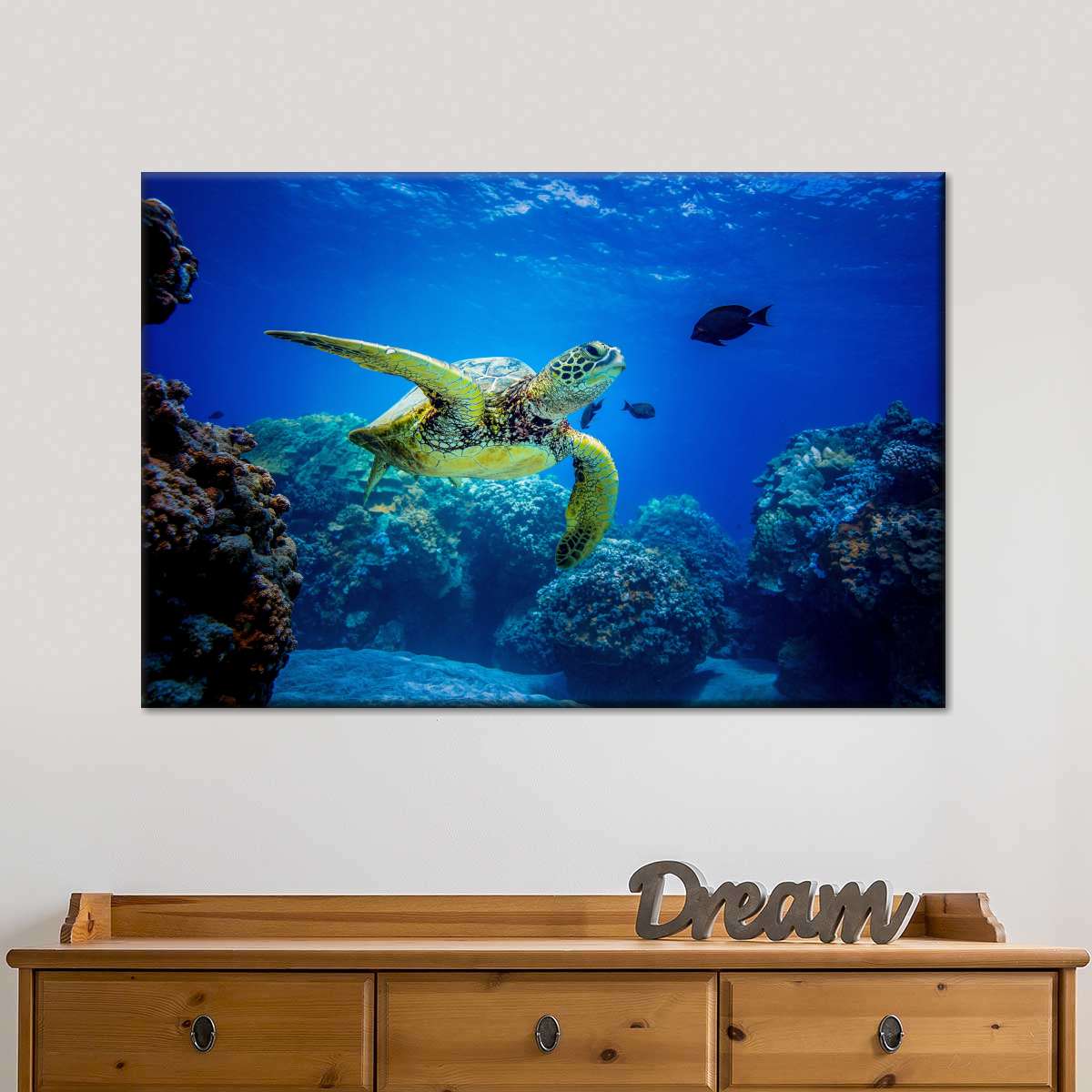 Glowing Turtle Wall Art