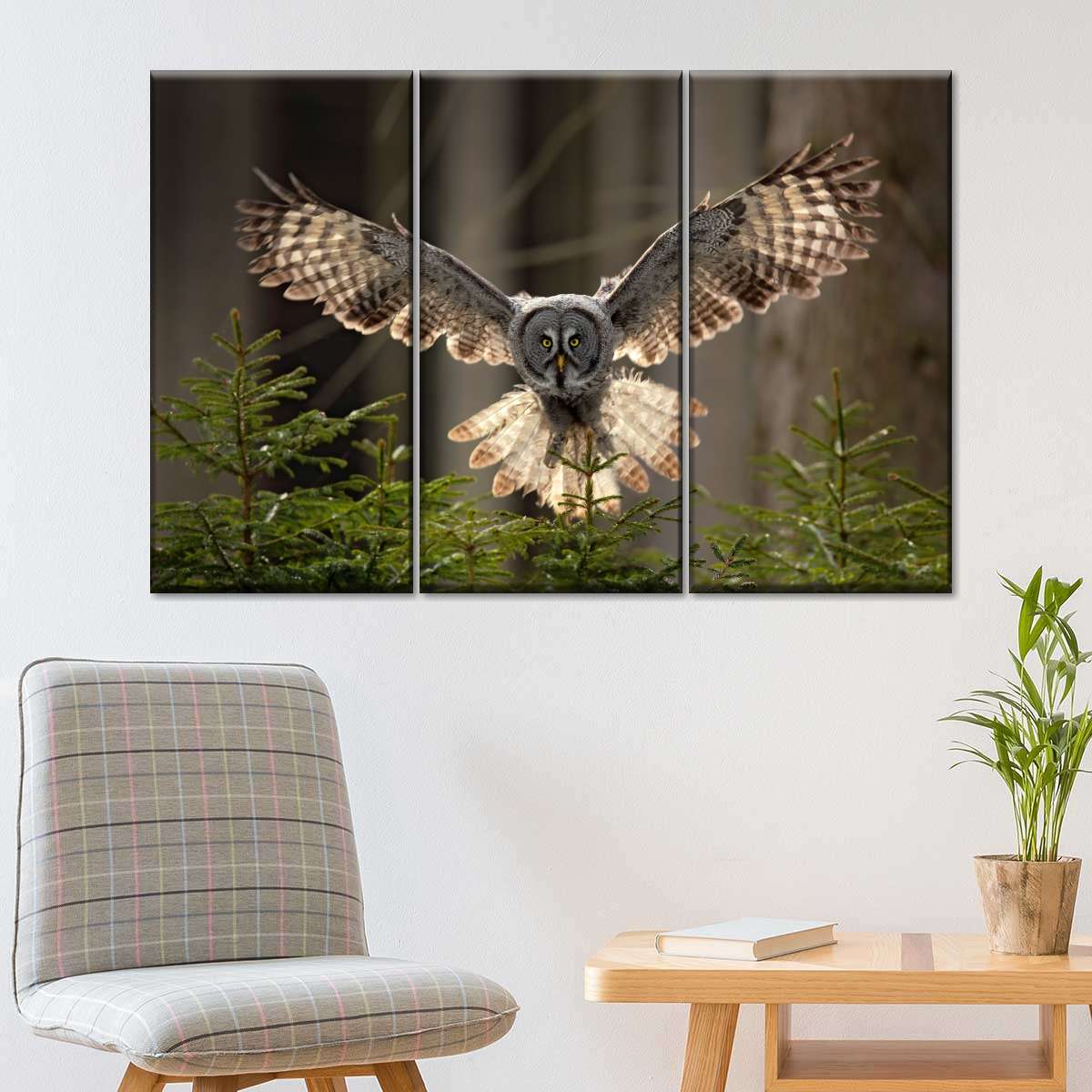 Flying Owl Wall Art