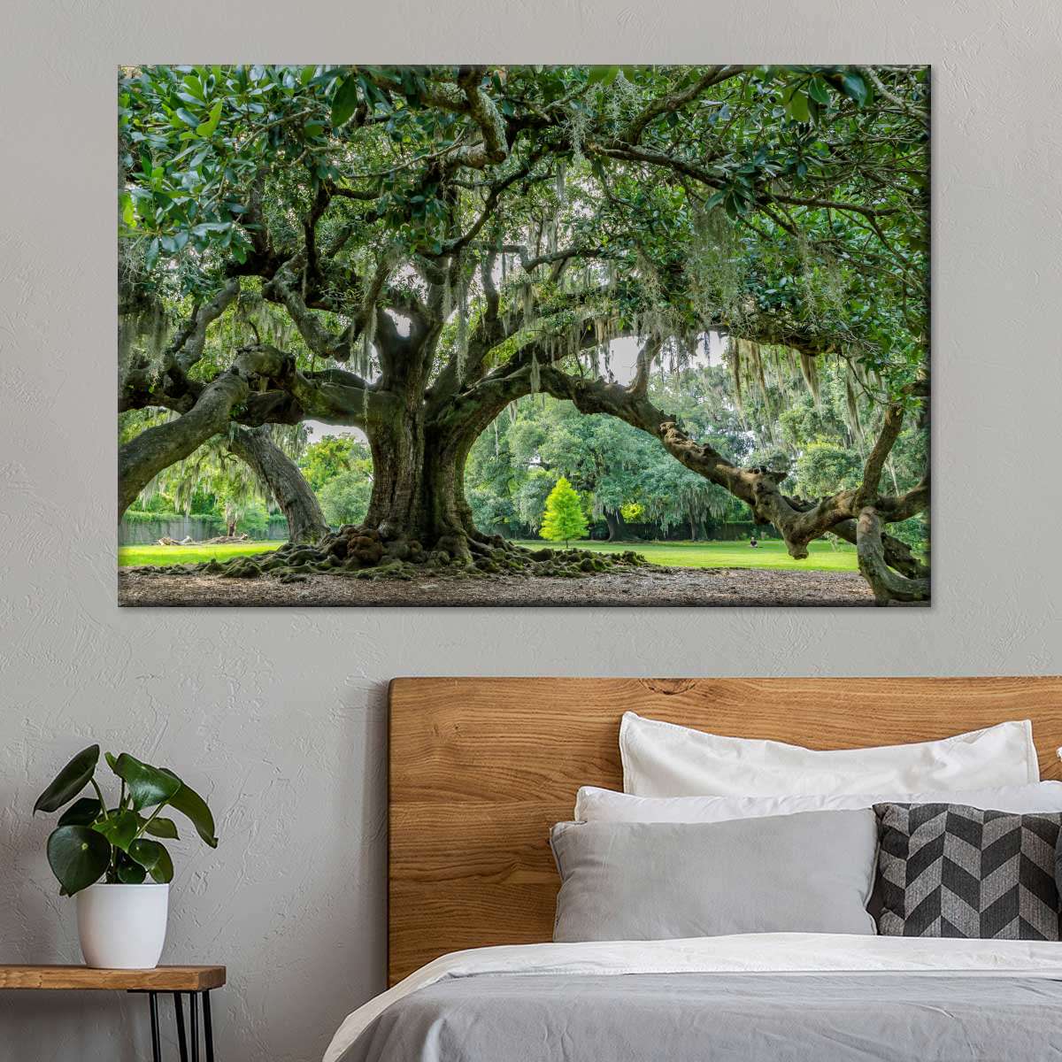 Audubon Park Oak Tree Wall Art